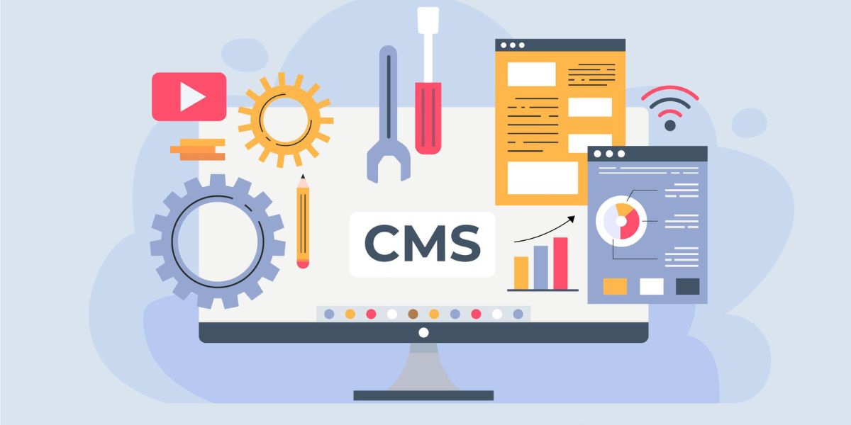 Headless CMS Website Development