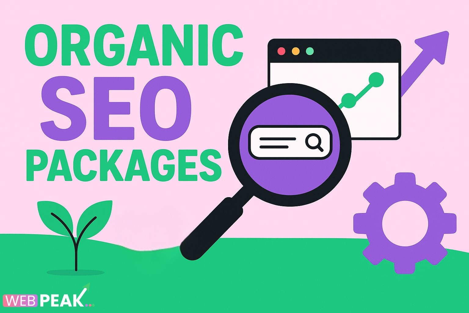 Organic Seo Packages